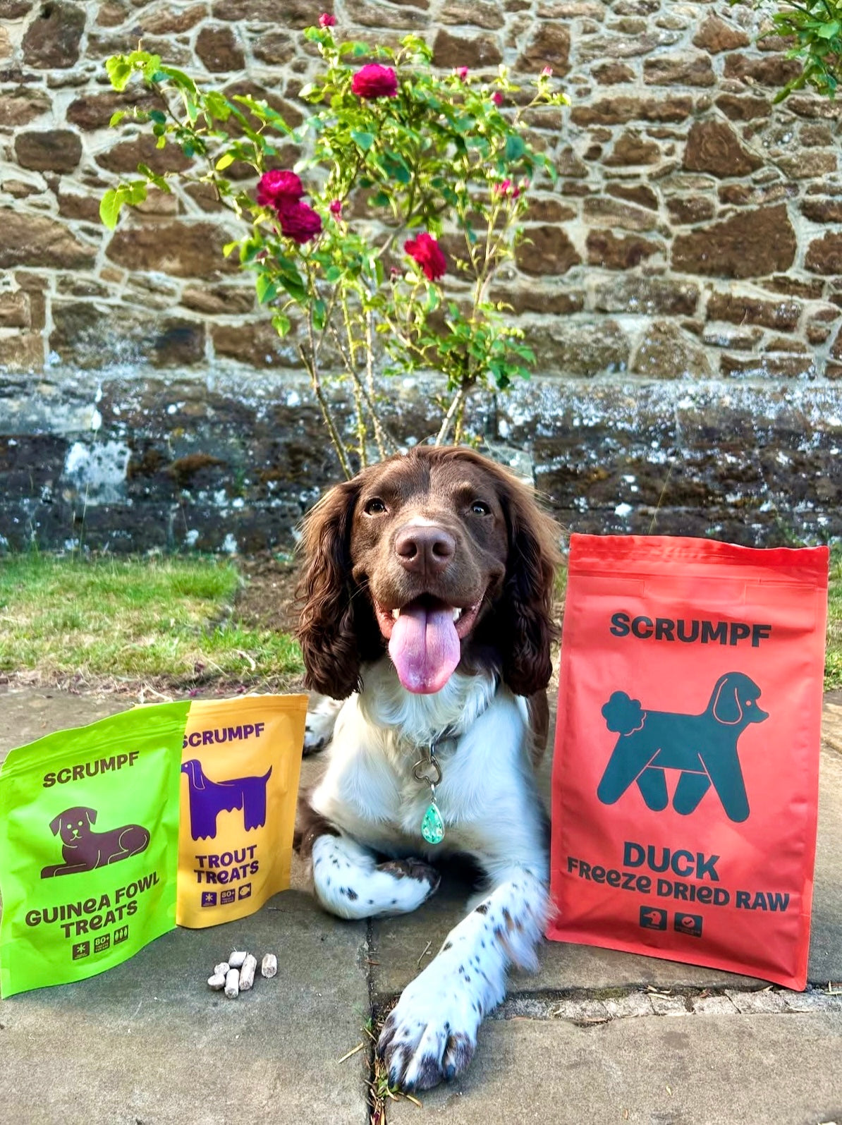 Freeze Dried Raw Guinea Fowl Treats