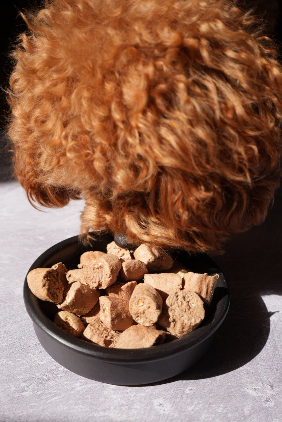 Kibble vs Freeze Dried: The Delicious Debate for the Best Dog Food