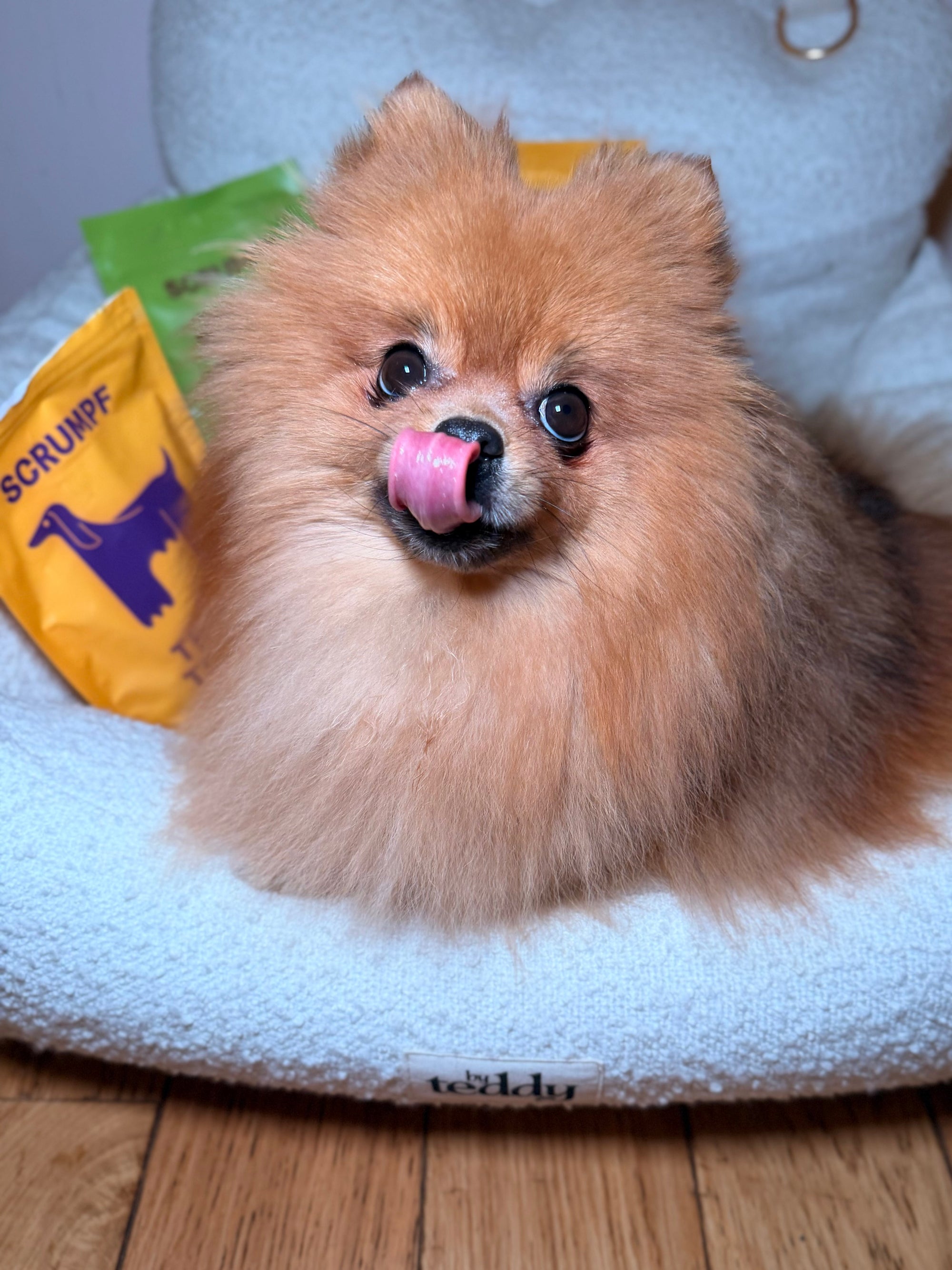 Why SCRUMPF’s Dog Treats Are Superior: The Power of Novel Protein