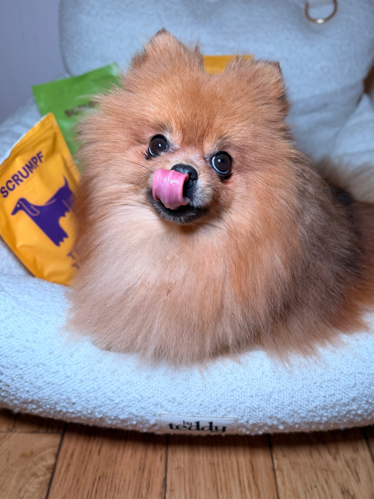 Why SCRUMPF’s Dog Treats Are Superior: The Power of Novel Protein