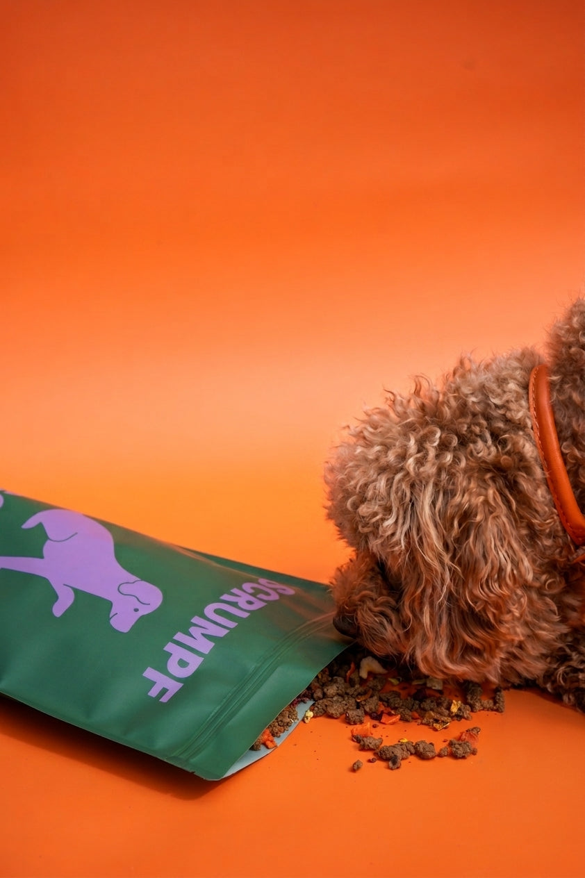 Goat Air-Dried Complete Food