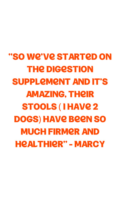 DIGESTION SUPPLEMENT