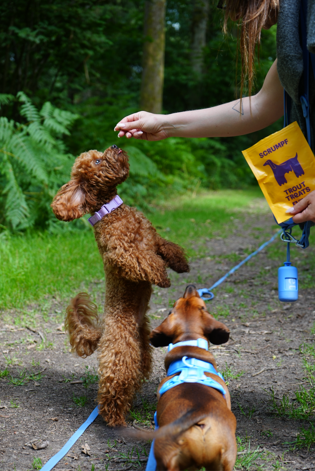 Freeze Dried Raw Trout Treats