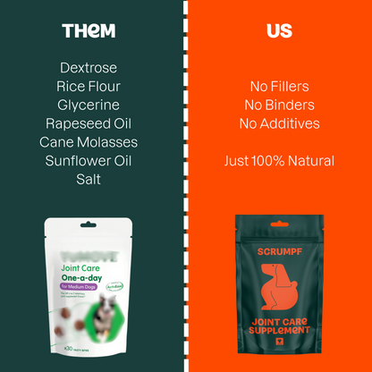 JOINT CARE SUPPLEMENT