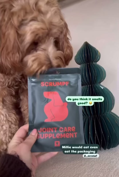 JOINT CARE SUPPLEMENT