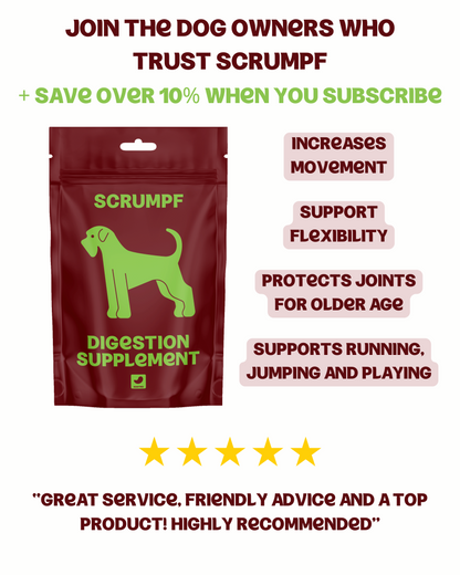 DIGESTION SUPPLEMENT