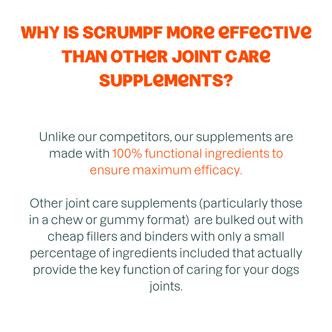 JOINT CARE SUPPLEMENT