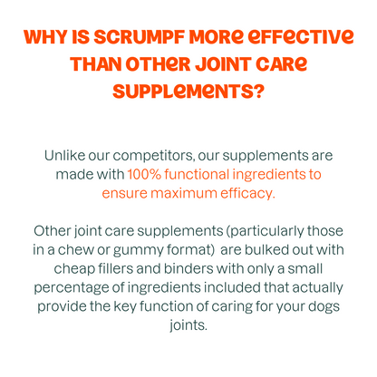 JOINT CARE SUPPLEMENT